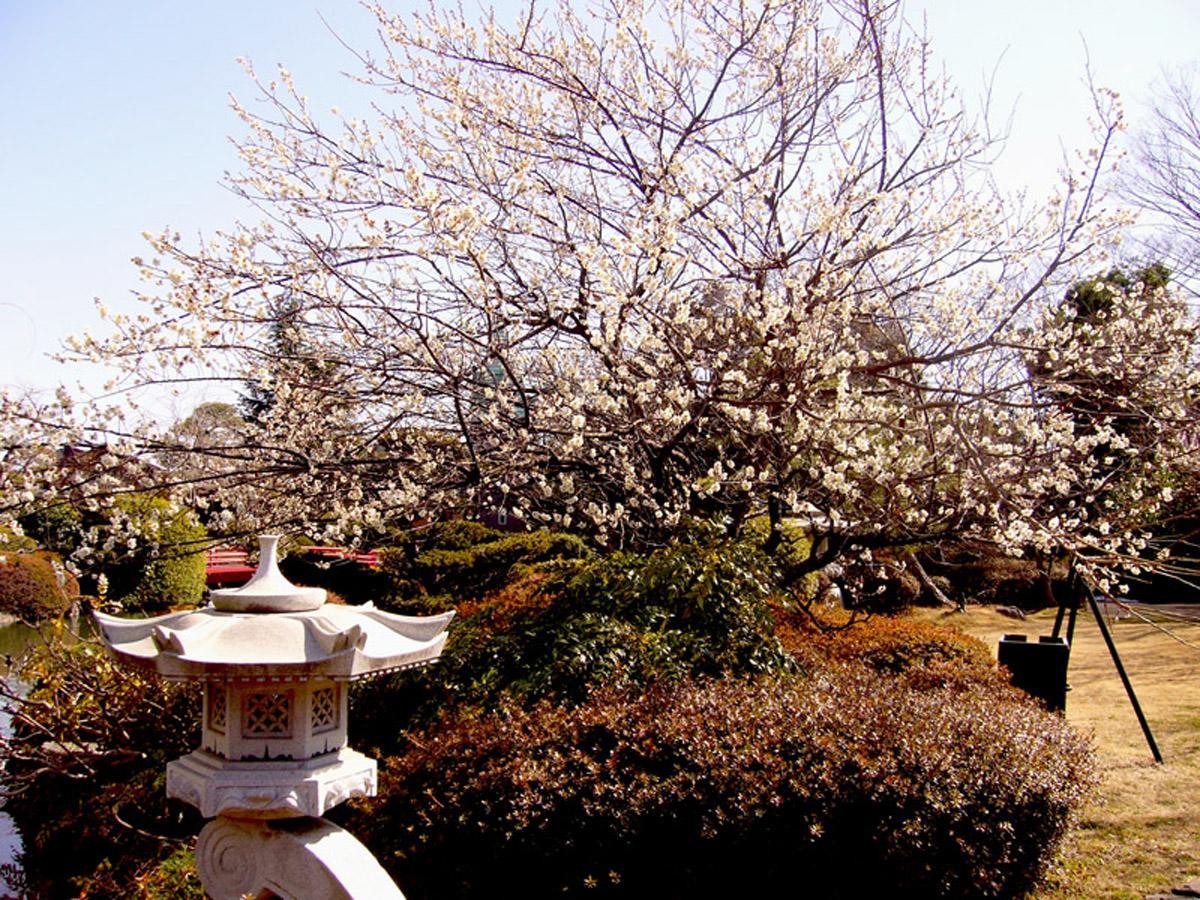 Hotel Garden Palace Kumagaya Exterior photo